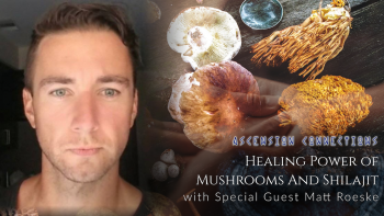 April 1, 2022 - Ascension Connections with Andrew Genovese_ Healing Power of Mushrooms And Shilajit with Matt Roeske