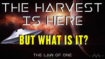 The Harvest Law Of One 010